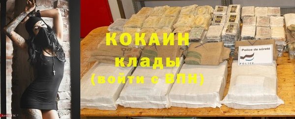 не бодяженный Арсеньев