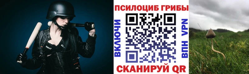 Псилоцибиновые грибы ЛСД  Окуловка 